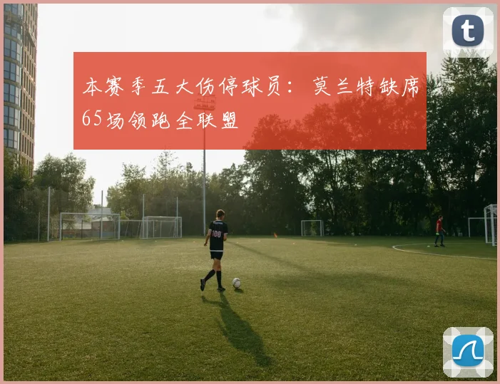 本赛季五大伤停球员：莫兰特缺席65场领跑全联盟